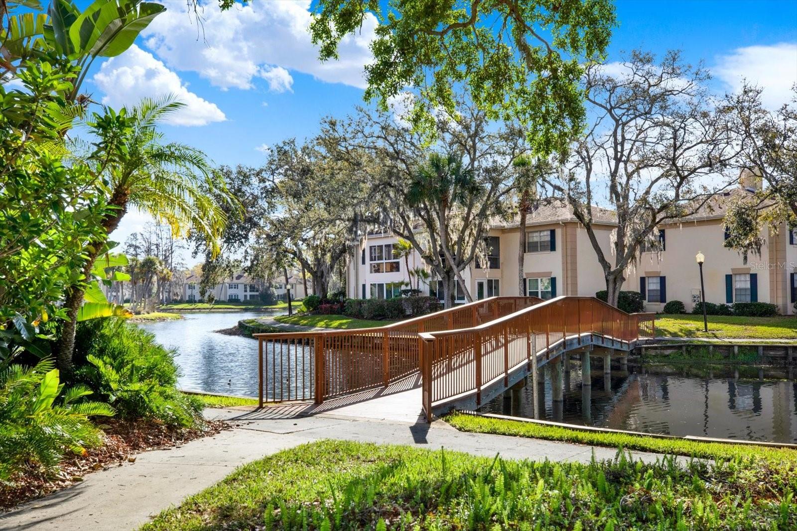 THE GRAND AT OLDE CARROLLWOOD - Residential