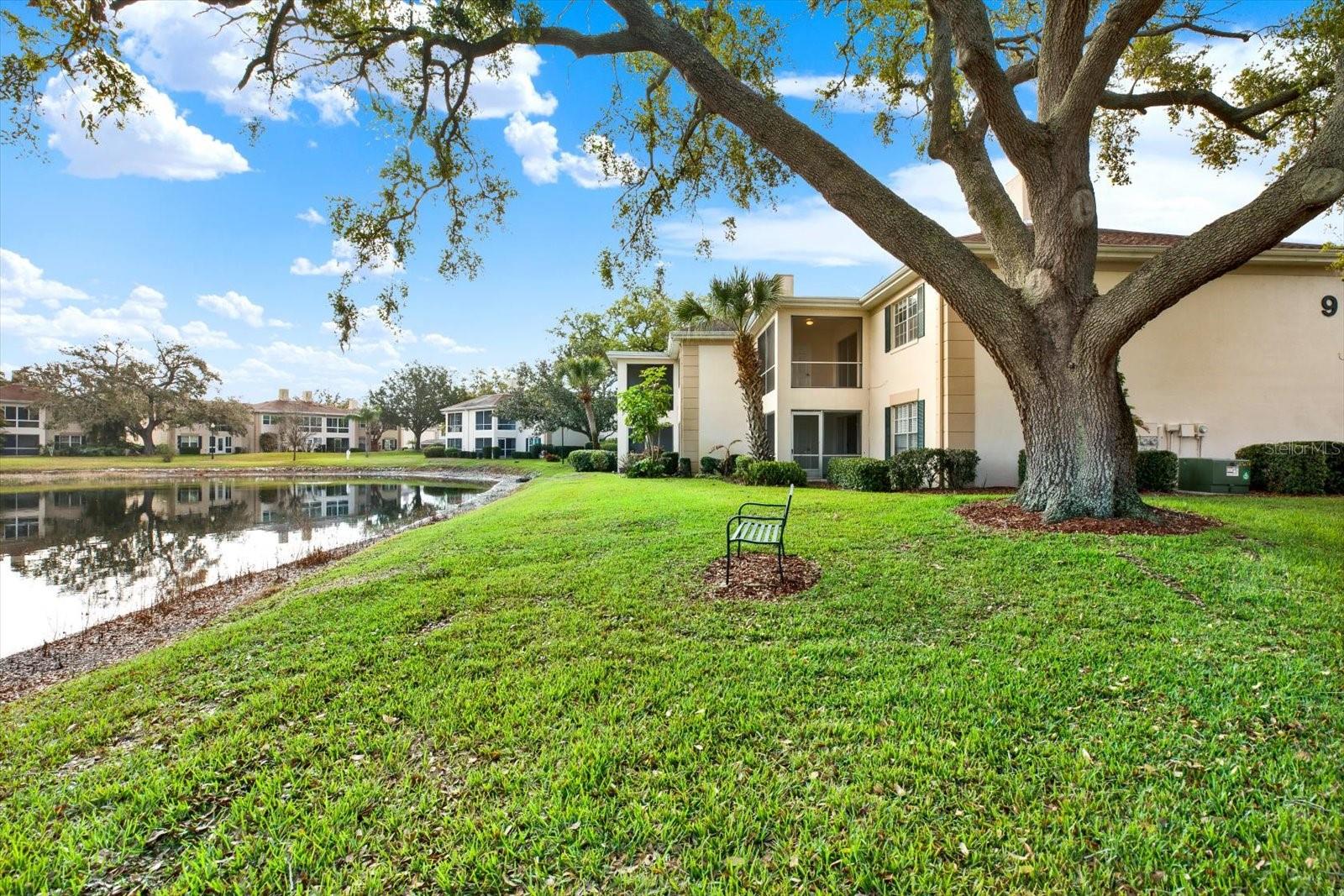 THE GRAND AT OLDE CARROLLWOOD - Residential