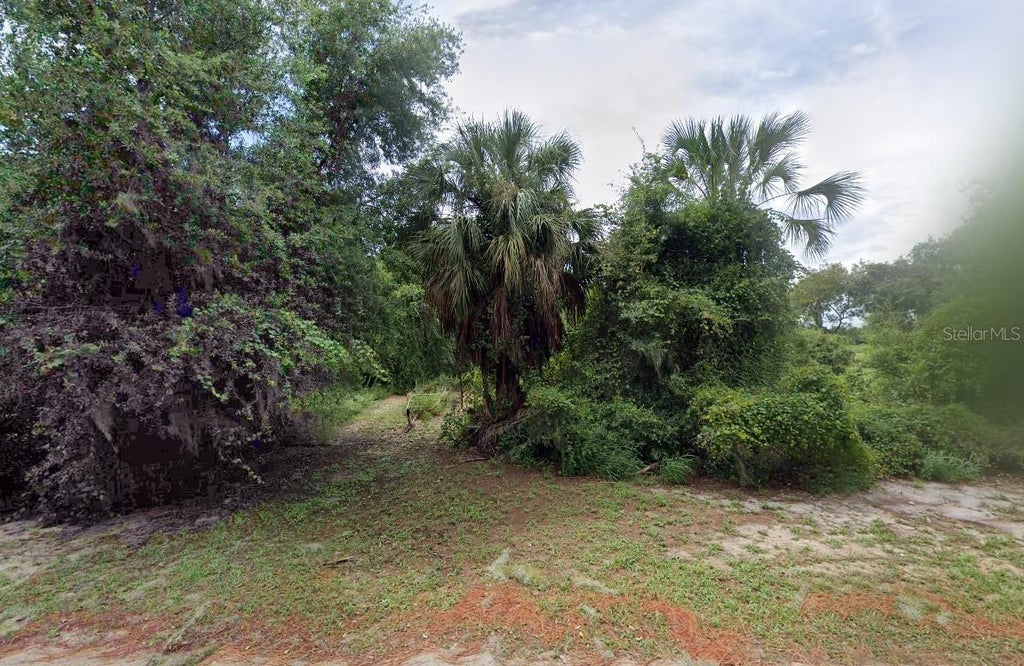 Photo of 4232 Chamabers Street, Lake Wales, FL 33898 (MLS # A4698721)
