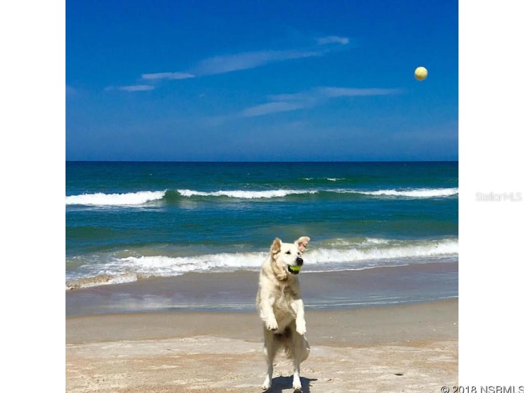 Bethune Volusia Beach - Residential