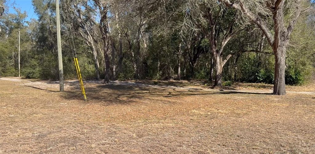 Photo of 16347 Albright Road, Spring Hill, FL 34610 (MLS # W7882776)