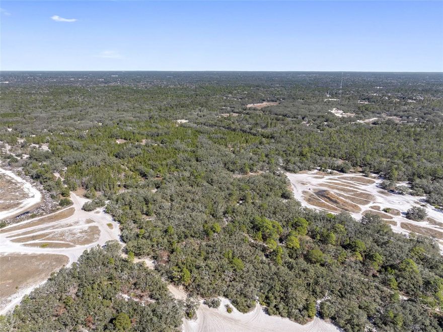 9.81 acres available in Hudson, lot is undeveloped acreage. Owners also own the easement (16-24-17-0000-01600-0000) and will convey along with the 9.81 acres. 

Owners would like to sell the neighboring 9.81-acre lot with this lot as a package deal, (16-24-17-0000-00500-0000) see listing ID TB8342929

Opportunity to own 19.62 acres, along with the easement.