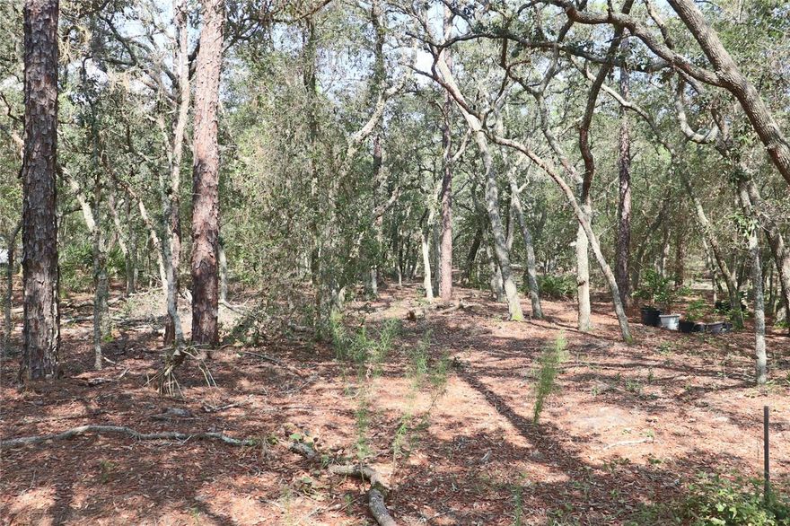 This could be the perfect new home site for you.  With an A2 zoning and a 2.6 acre lot to build which ever type of home is your dream.  From site to tiny homes Manufactured or what your heart desires.  High and dry area with a home site already cleared.  Lots of oak trees around you for that nature feel plus for privacy.  The street is a dead-end so very little traffic to deal with.  Should golfing, boating or floating be a desired activity well you are in luck all sorts of activities are surrounding you.  Dunnellon is a quite little town filled with wonderful folks and the nature is also great.  Don't delay and take a look at this lot you will be happy you did.