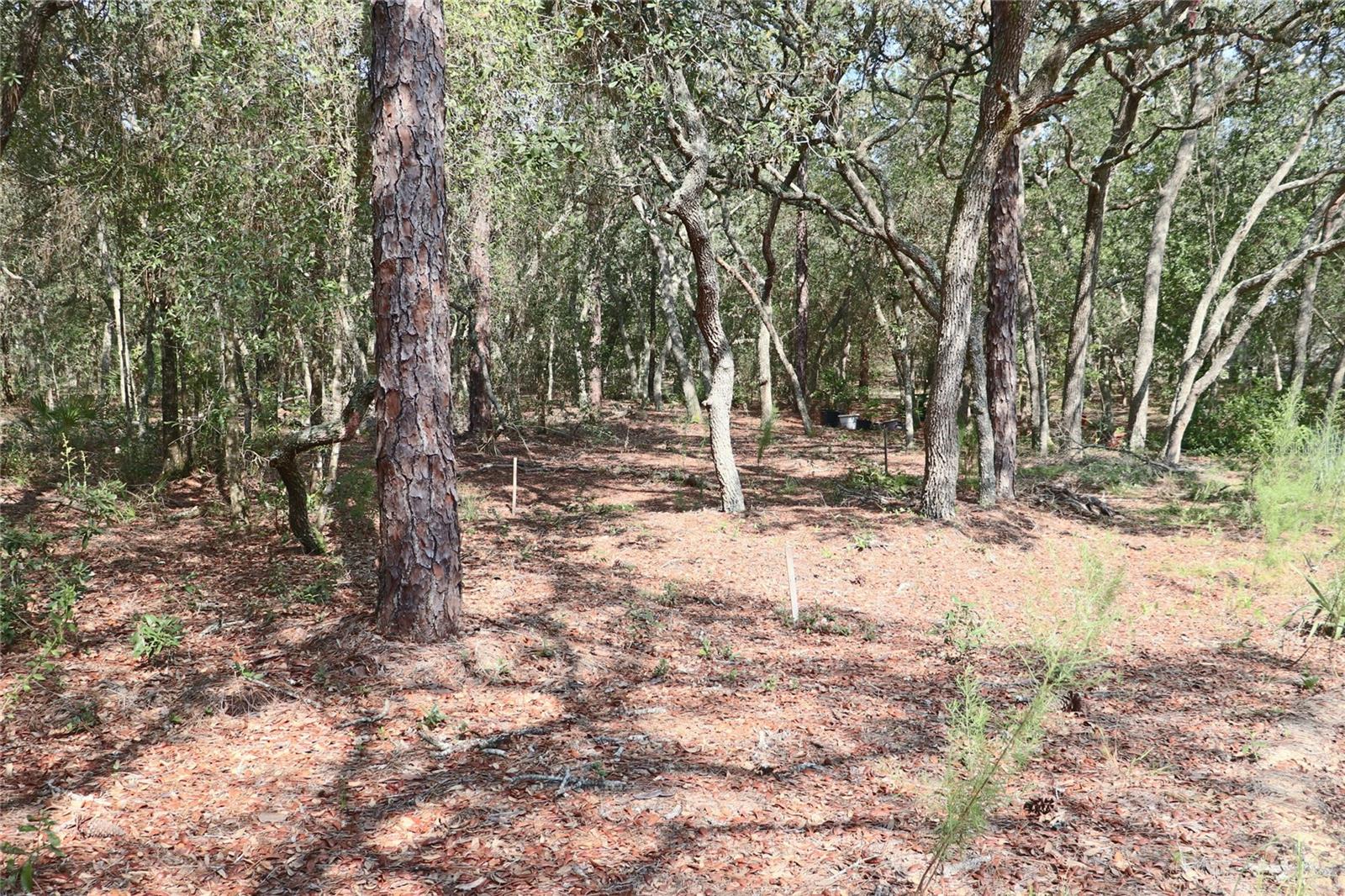 LAKE TROPICANA RANCHETTES UN 2 - Land