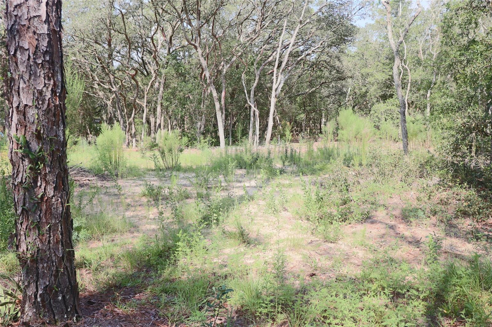 LAKE TROPICANA RANCHETTES UN 2 - Land