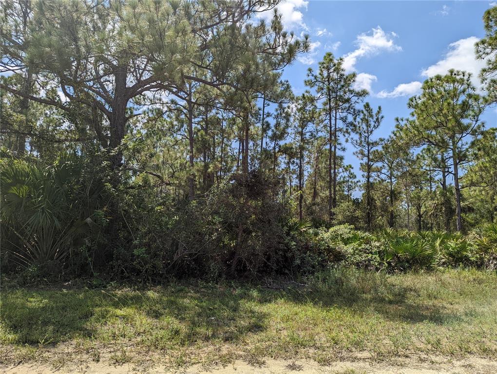 Looking for a quiet neighborhood to build in? Tropical Gulf Acres is your place to be. This developing area has no HOA fees, no deed restrictions and not in a flood zone. Close to Downtown Punta Gorda for all your shopping, waterfront dining, outdoor activities, fishing, boating, parks and more! Are you a traveler? This lot is located minutes from I75 and Allegiant Airport making commute quick and easy! Come see what this area has to offer you today.