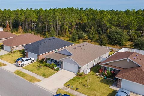 A home in PALM COAST