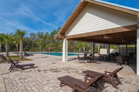 A home in PALM COAST