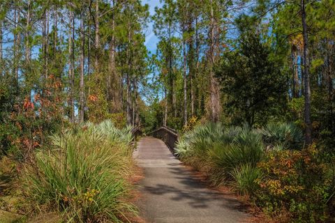 A home in PALM COAST