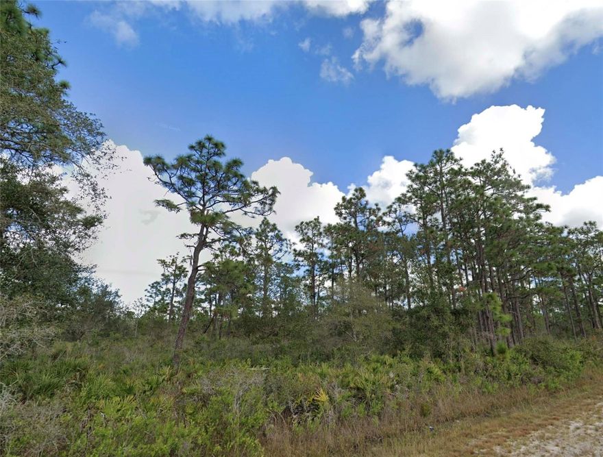 Build your dream home on this generous 0.50-acre (21,797?sq?ft) homesite within the desirable Indian Lake Estates community. Located on Poinciana Drive, this lot offers a peaceful, natural setting and the flexibility to design a custom residence in a rural-residential environment. With access to the community’s amenities including golf, boating and waterfront opportunities (where applicable), residents enjoy a relaxed lifestyle just a short drive from Lake Wales. Don’t miss this chance to own a prime parcel in a sought-after neighborhood. Seller motivated!
All information is deemed reliable but should be independently verified.
