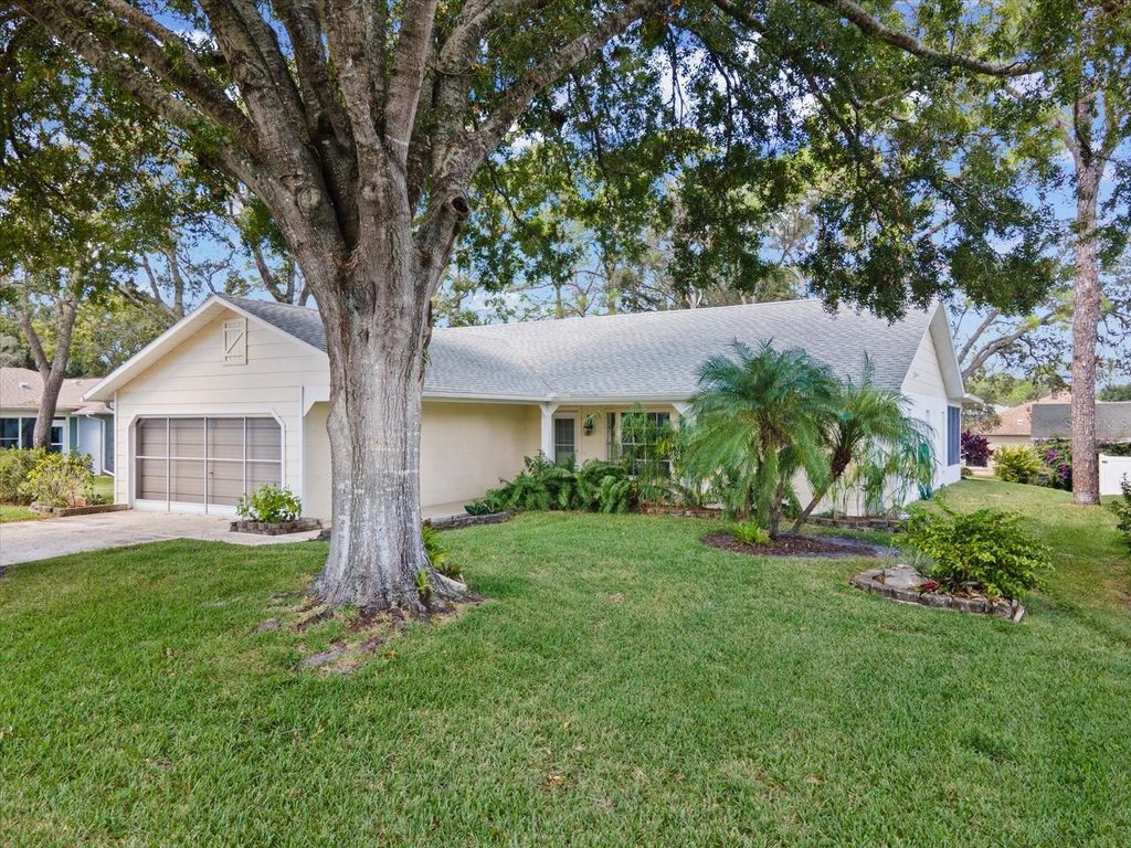 Photo of 6393 Lost Tree Lane, Spring Hill, FL 34606 (MLS # W7880099)