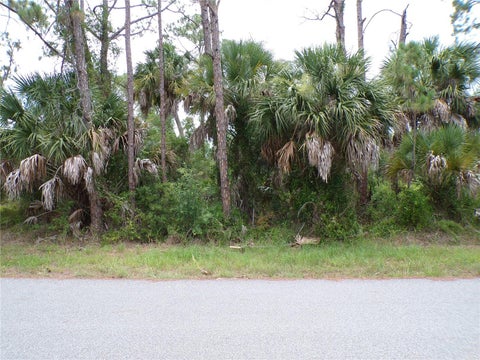 Photo of Lummus Street, North Port, FL 34286 (MLS # C7527788)