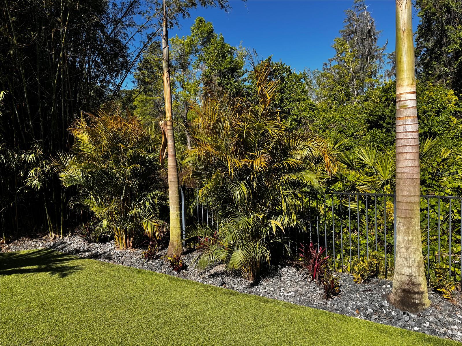 PEACHTREE PARK - Residential