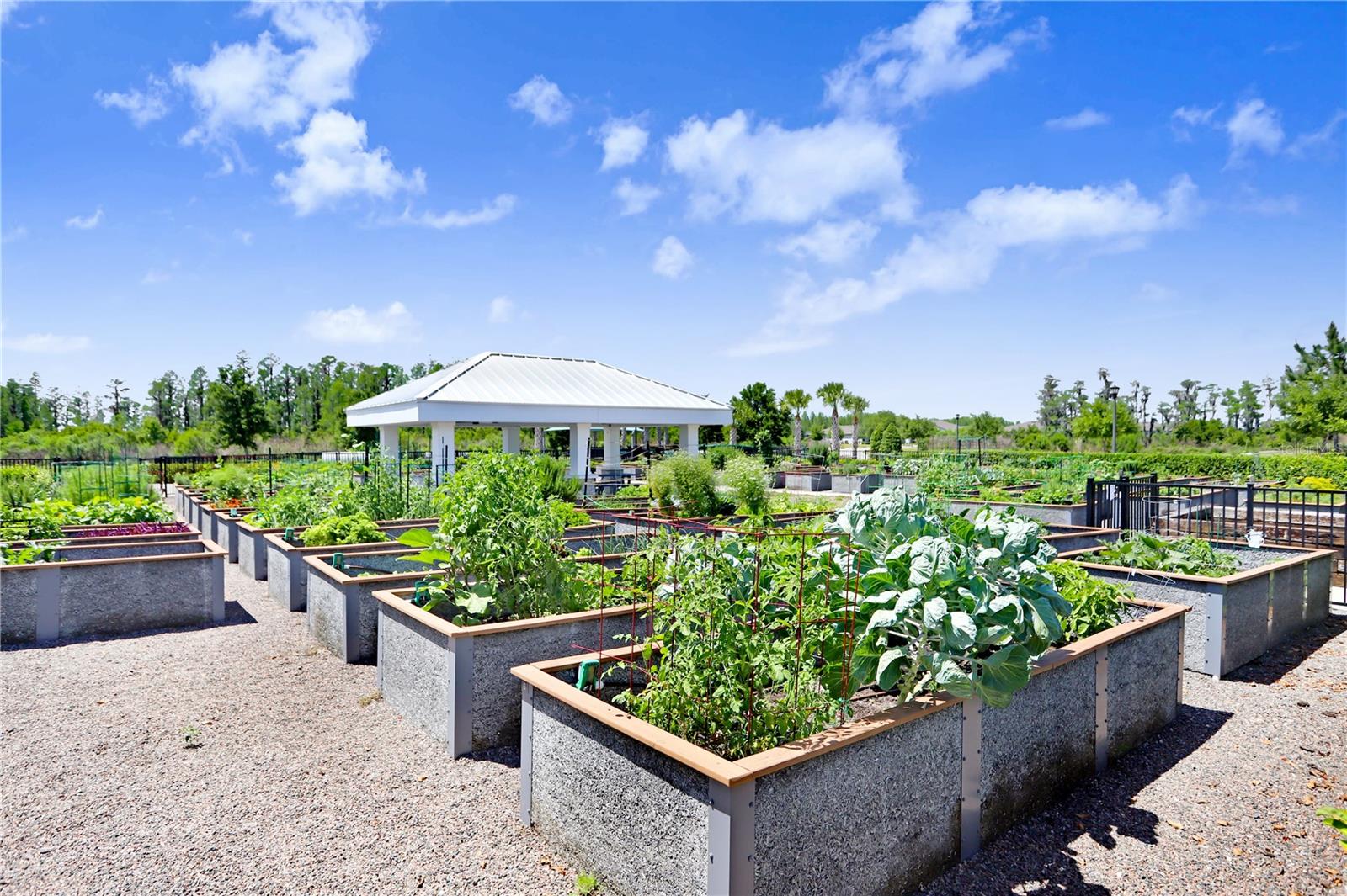 DEL WEBB BEXLEY PH 2 - Residential