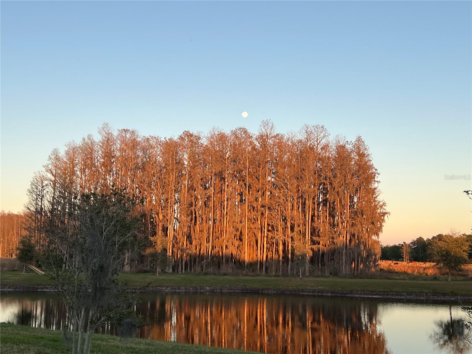 DEL WEBB BEXLEY PH 2 - Residential