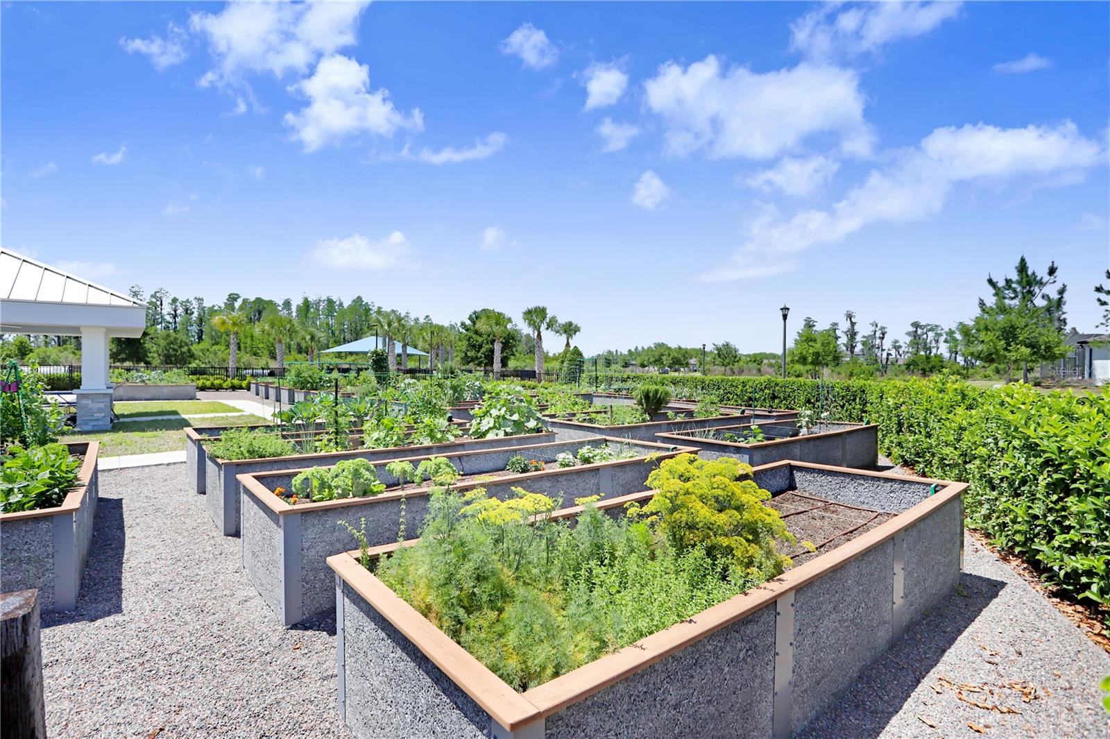 DEL WEBB BEXLEY PH 2 - Residential