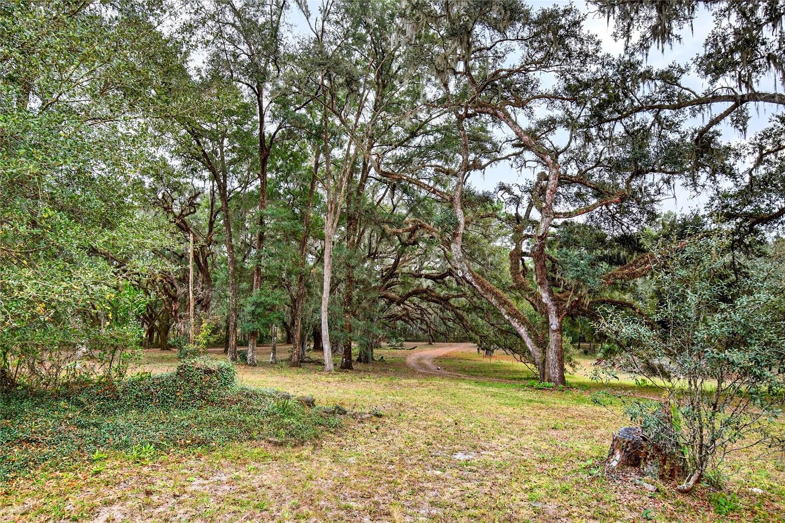 LAUREL FOREST FARMS UNREC - Residential