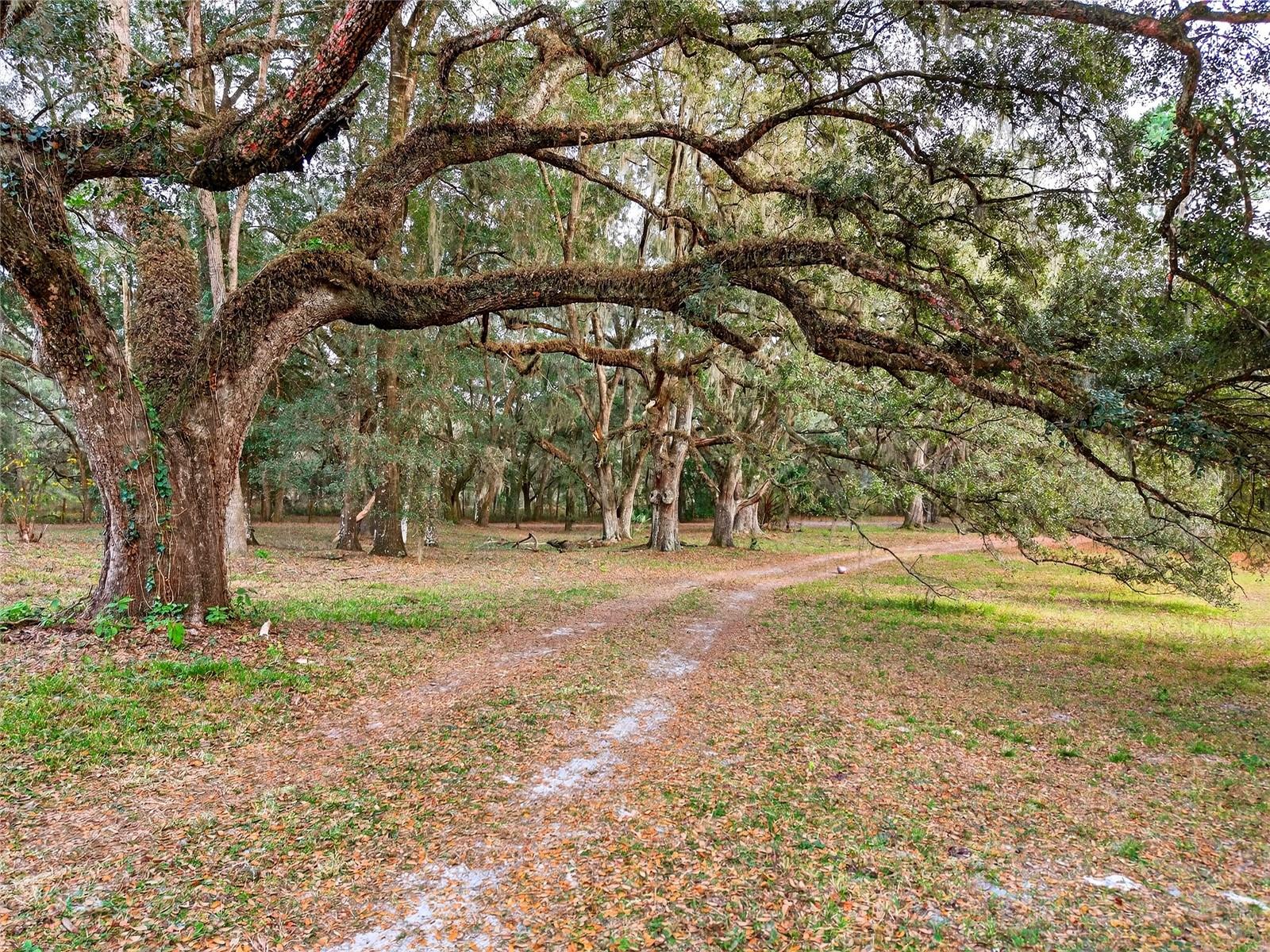 LAUREL FOREST FARMS UNREC - Residential