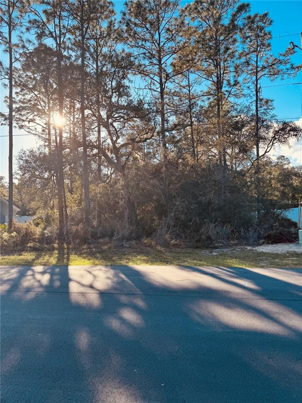 Photo of 0 SW 69th Court Rd, Ocala, FL 34473 (MLS # OM711901)