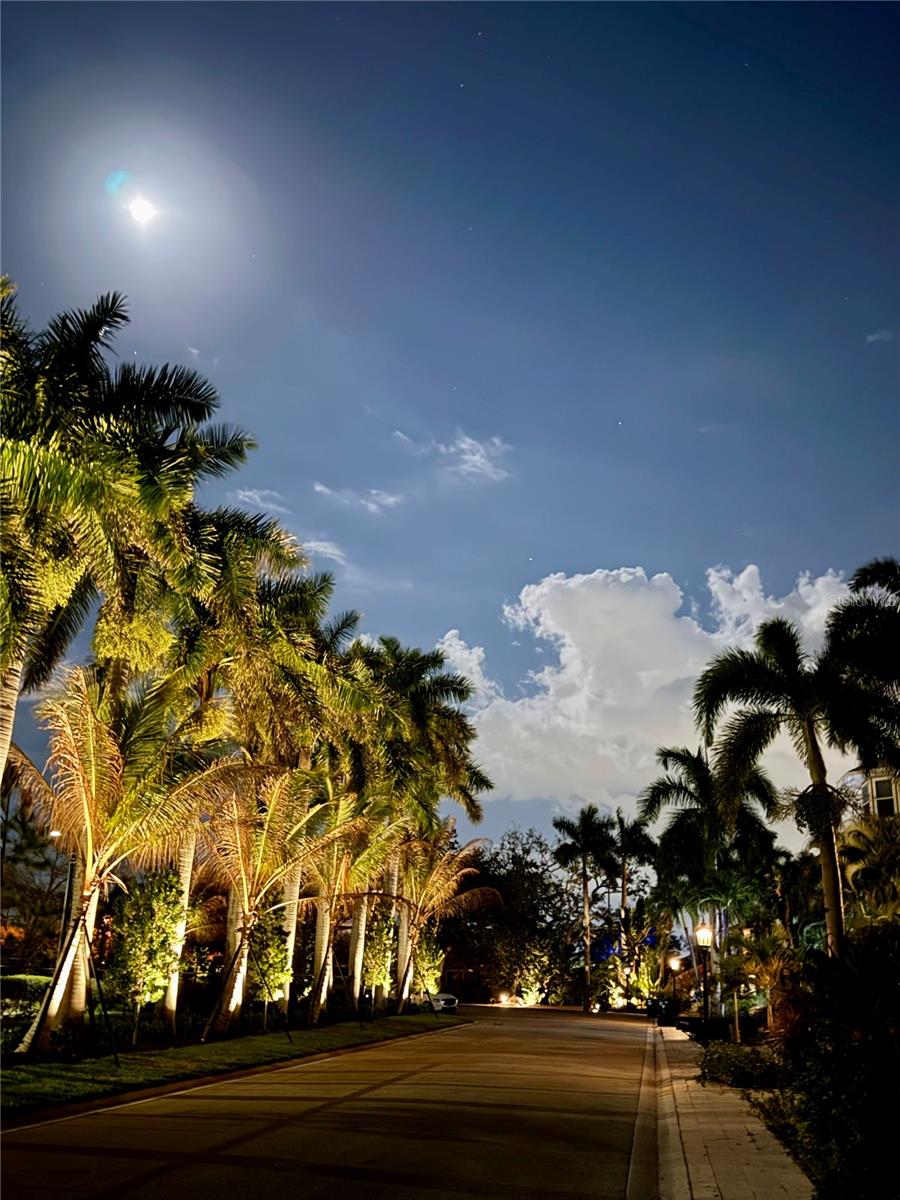 HAWKS HARBOR - Residential