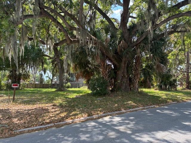 LENA VISTA SUB - Land