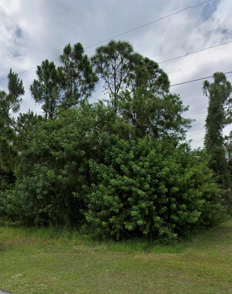 Photo of Meroni Boulevard, North Port, FL 34291 (MLS # O6428626)