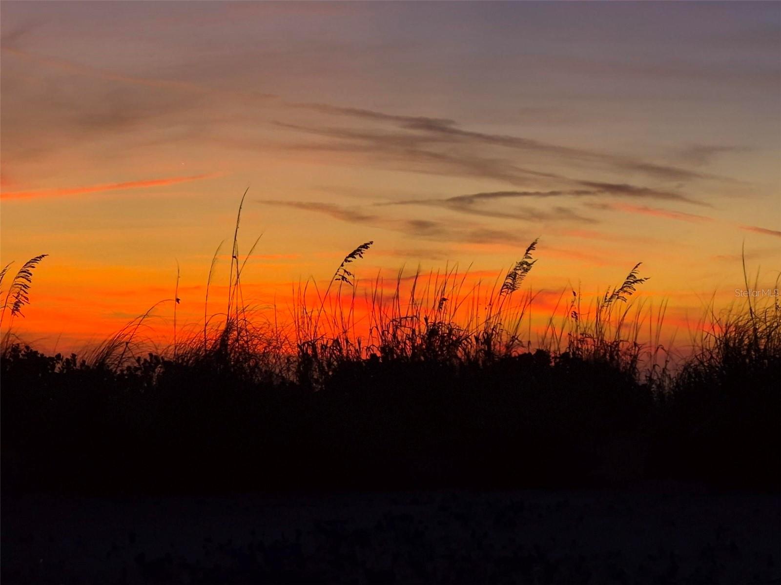 BAYSHORE ESTATES - Residential Income