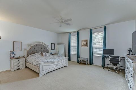 A home in LAND O LAKES