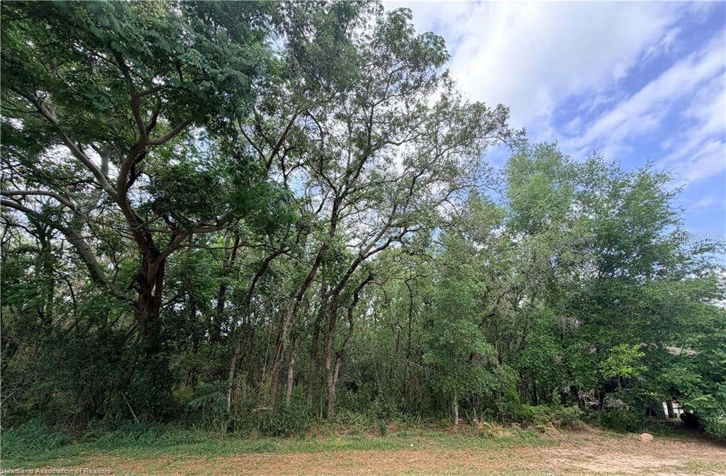 Photo of 1727 N Berkley Road, Avon Park, FL 33825 (MLS # P4939206)