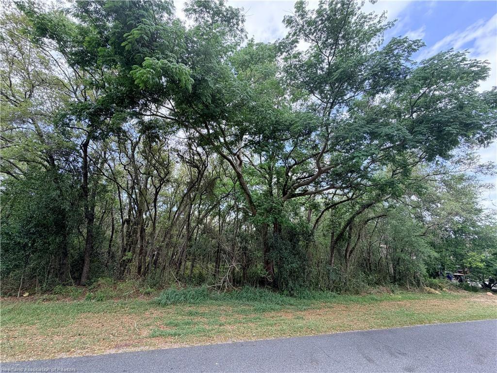 Photo 1 of 6 — 1727 N BERKLEY ROAD, AVON PARK, FL 33825