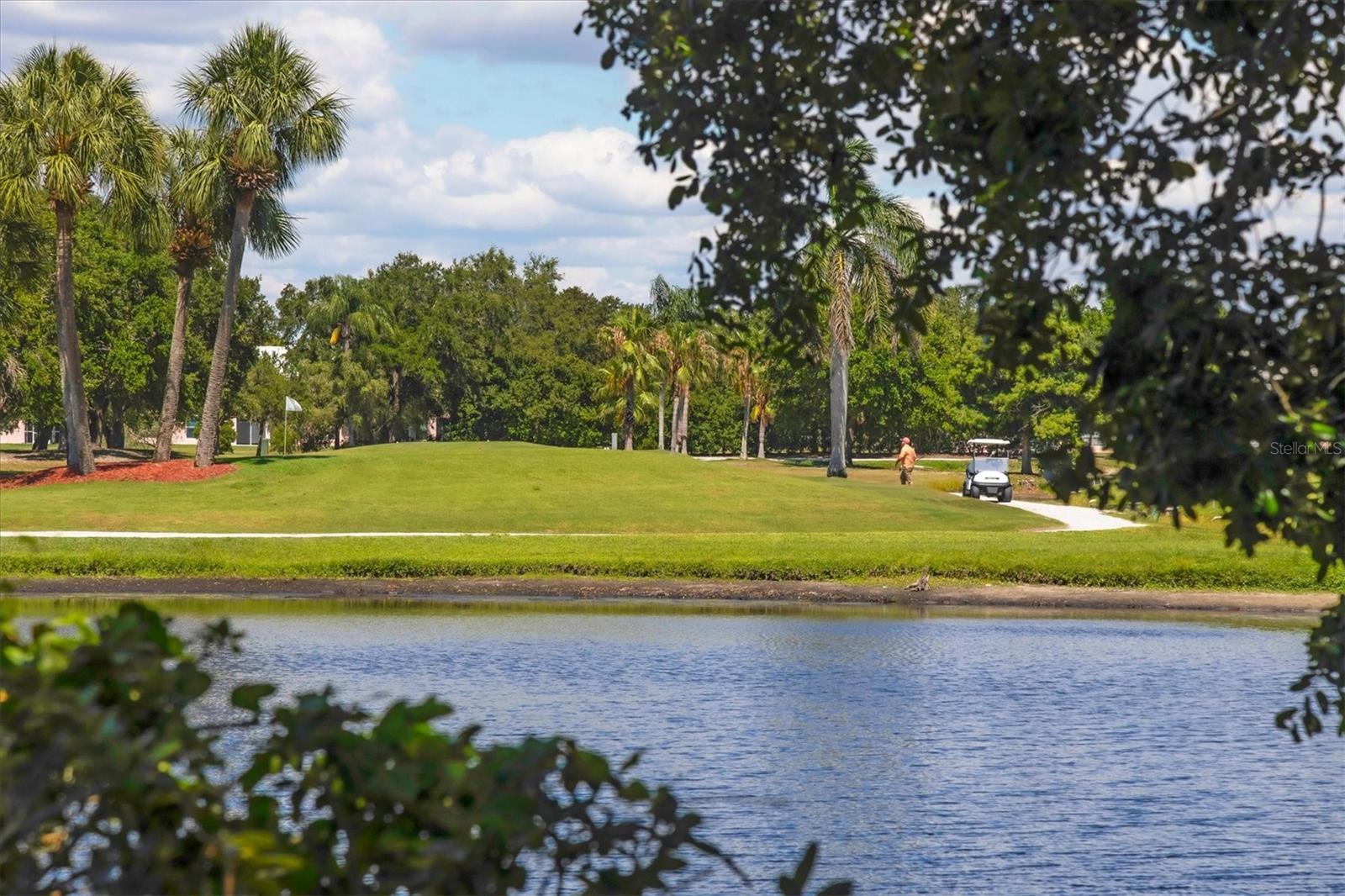 THE FAIRWAYS TWO AT PINEBROOK - Residential