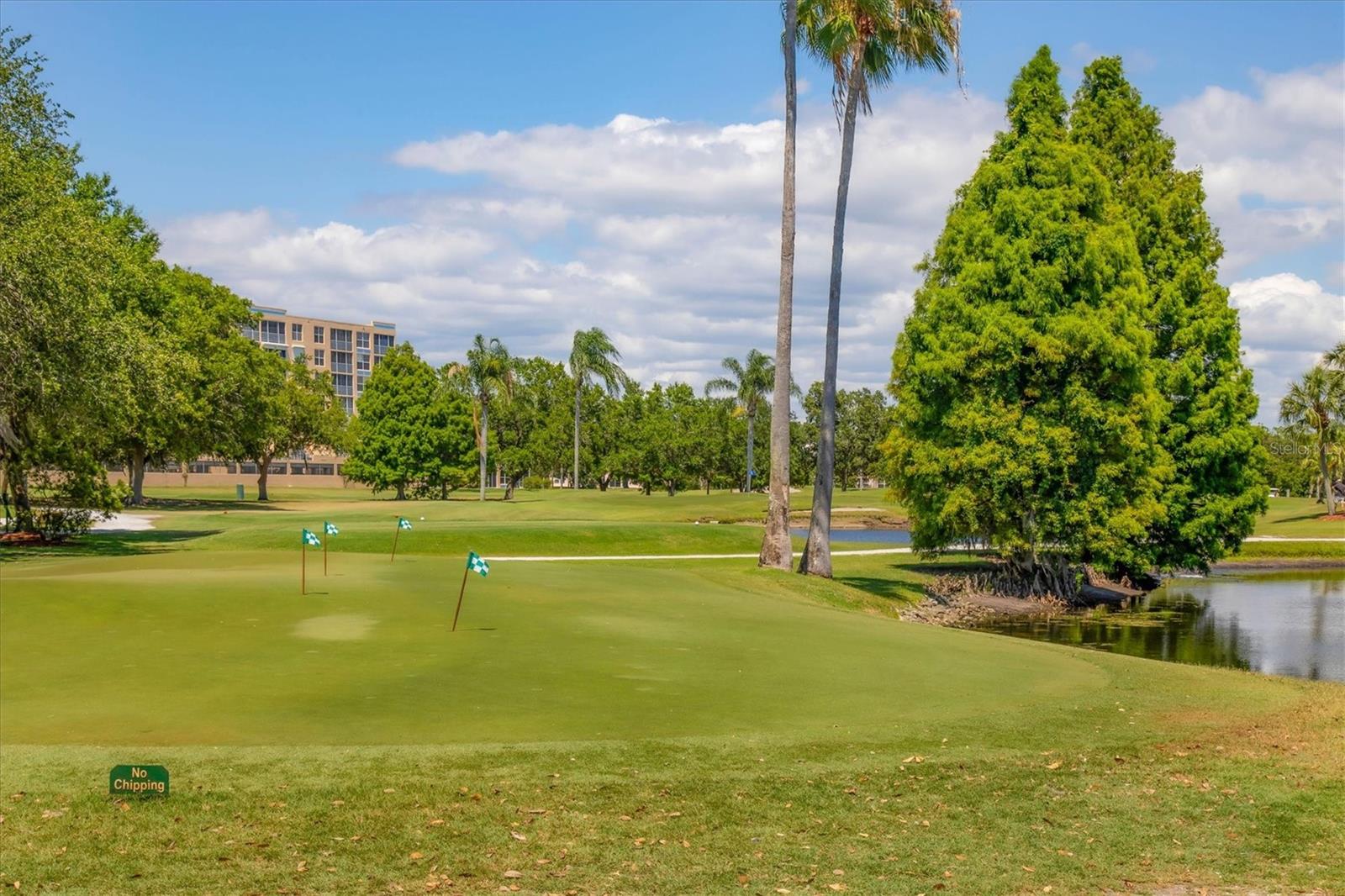 THE FAIRWAYS TWO AT PINEBROOK - Residential
