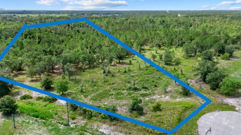 2025 409TH COURT E MYAKKA CITY FL 34251
