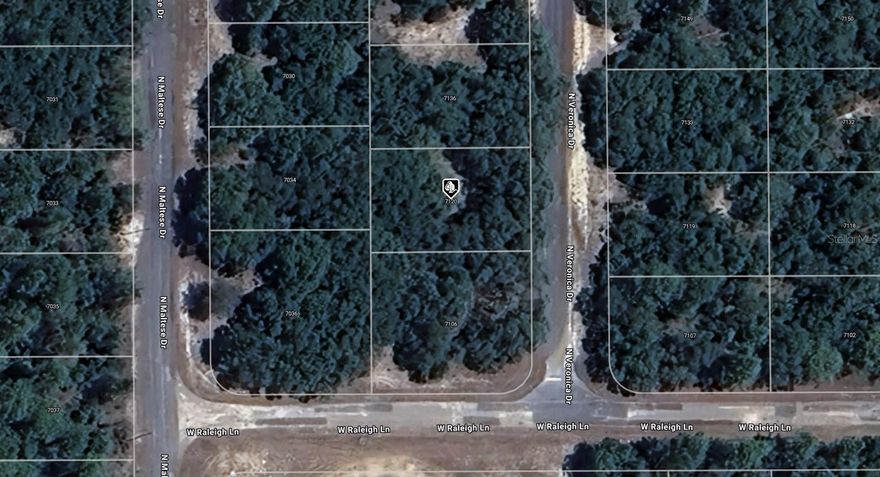 A VACANT LOT IN DUNNELLON IN CITRUS COUNTY!!!