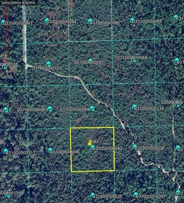 LAKE HARNEY RD, OSTEEN, FL 32764 - Image 9c8d390e33d95834bcfe4a04a8120d5f/2872003708