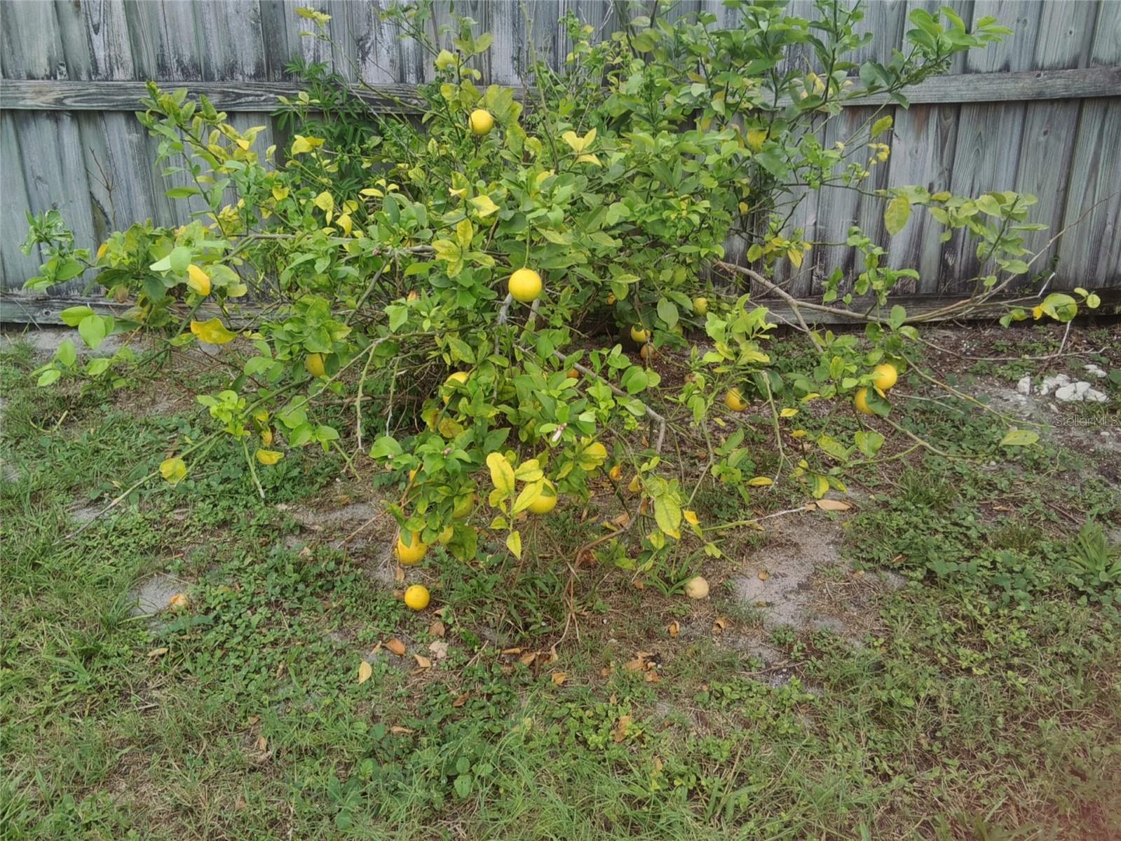 DELTONA LAKES UNIT 05 - Residential