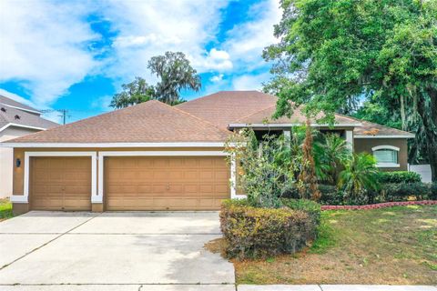Photo of 2539 Centennial Falcon Drive, Valrico, FL 33596 (MLS # L4961355)