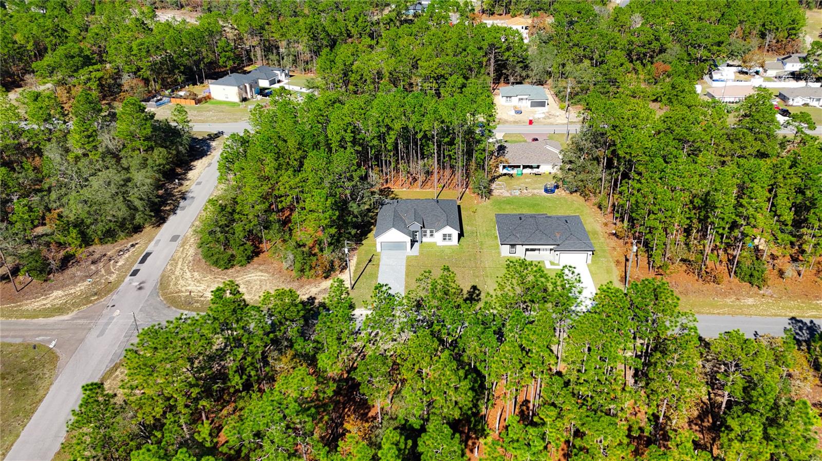 CITRUS SPRINGS - Residential