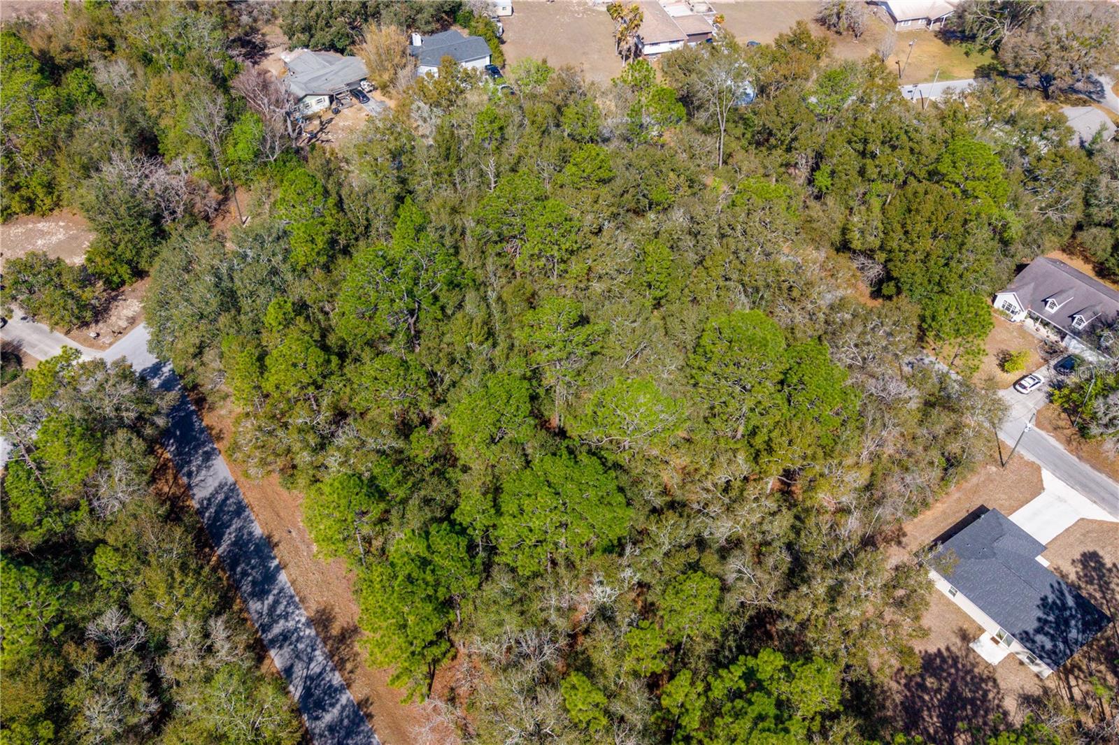 WILLISTON HYLNDS GOLF & C CLUB ESTATE - Land