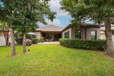 A home in RIVERVIEW