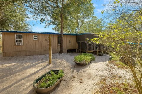 Photo of 43430 Cooter Pond Road, Deland, FL 32720 (MLS # O6357643)