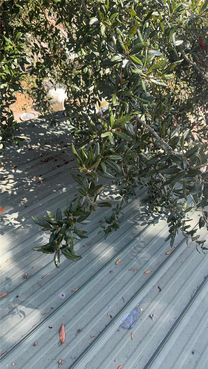 ACREAGE & UNREC - Residential