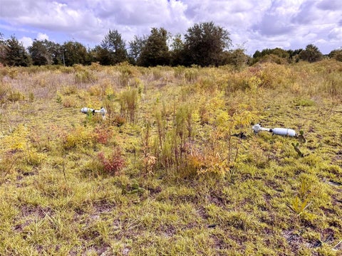 Tiny photo for 14385 SW Highway 484, Dunnellon, FL 34432 (MLS # W7879625)