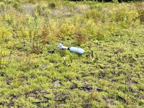 Tiny photo for 14385 SW Highway 484, Dunnellon, FL 34432 (MLS # W7879625)