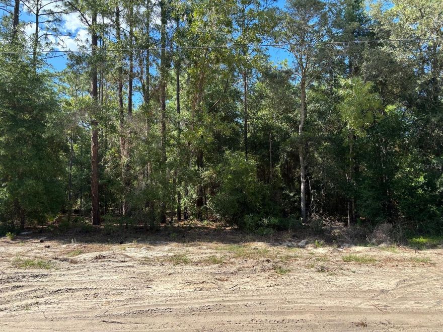 Build your dream lifestyle on this beautiful 1.16-acre parcel tucked away on a peaceful country road in the heart of Dunnellon! Surrounded by natural beauty and endless possibilities, this undeveloped property offers the perfect canvas for your custom home, private retreat, mini farm, or weekend getaway. Enjoy the tranquility of country living while still being within reach of shopping, dining, outdoor recreation, and Florida’s famous rivers and springs. Bring your vision, your toys, and your imagination—whether you’re looking to create a quiet sanctuary under the stars or invest in land for the future, this property is full of opportunity. No HOA, no limits to your dreams! Adjacent parcel is also available for sale, offering even more potential and privacy. See MLS #L4962257 for additional details.