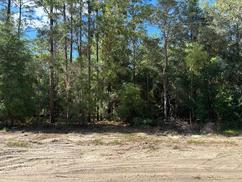 0A SW 93RD PLACE DUNNELLON FL 34432