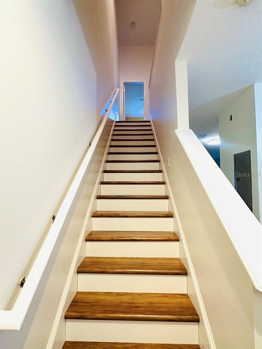 SEMINOLE PALMS AT LARGO - Residential