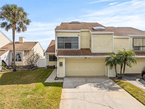 4029 STARFISH LANE TAMPA FL 33615