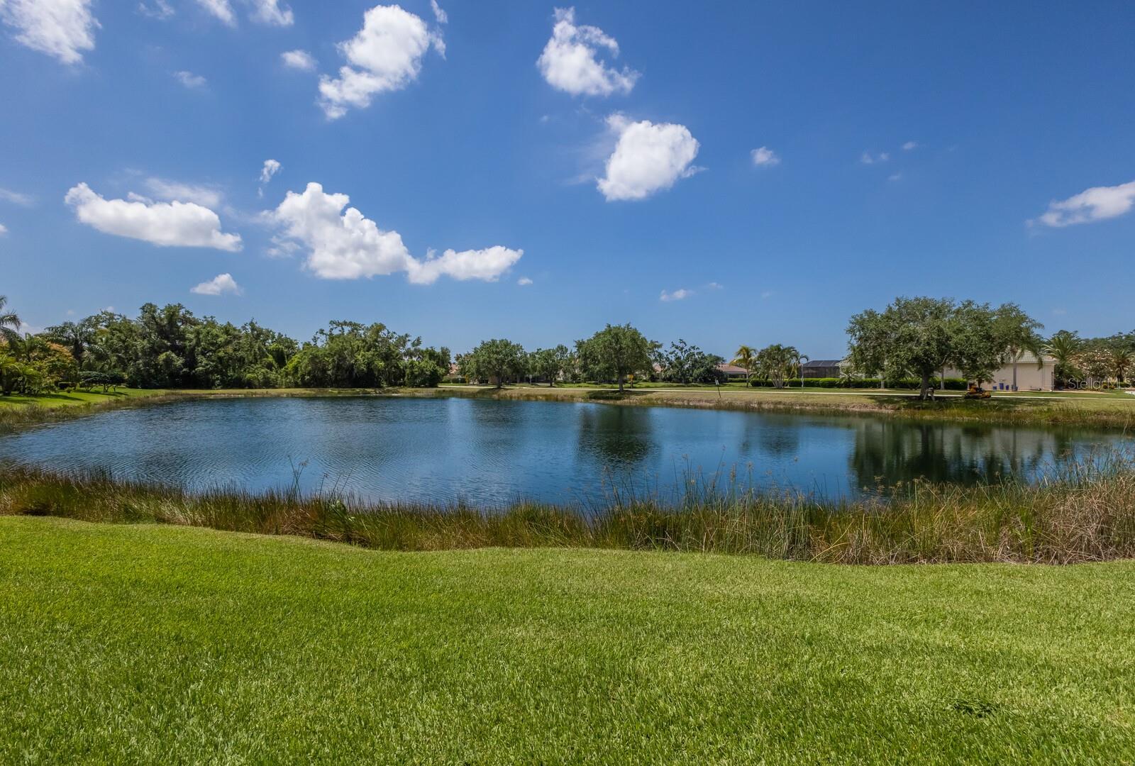 RED HAWK RESERVE PH 1 - Residential