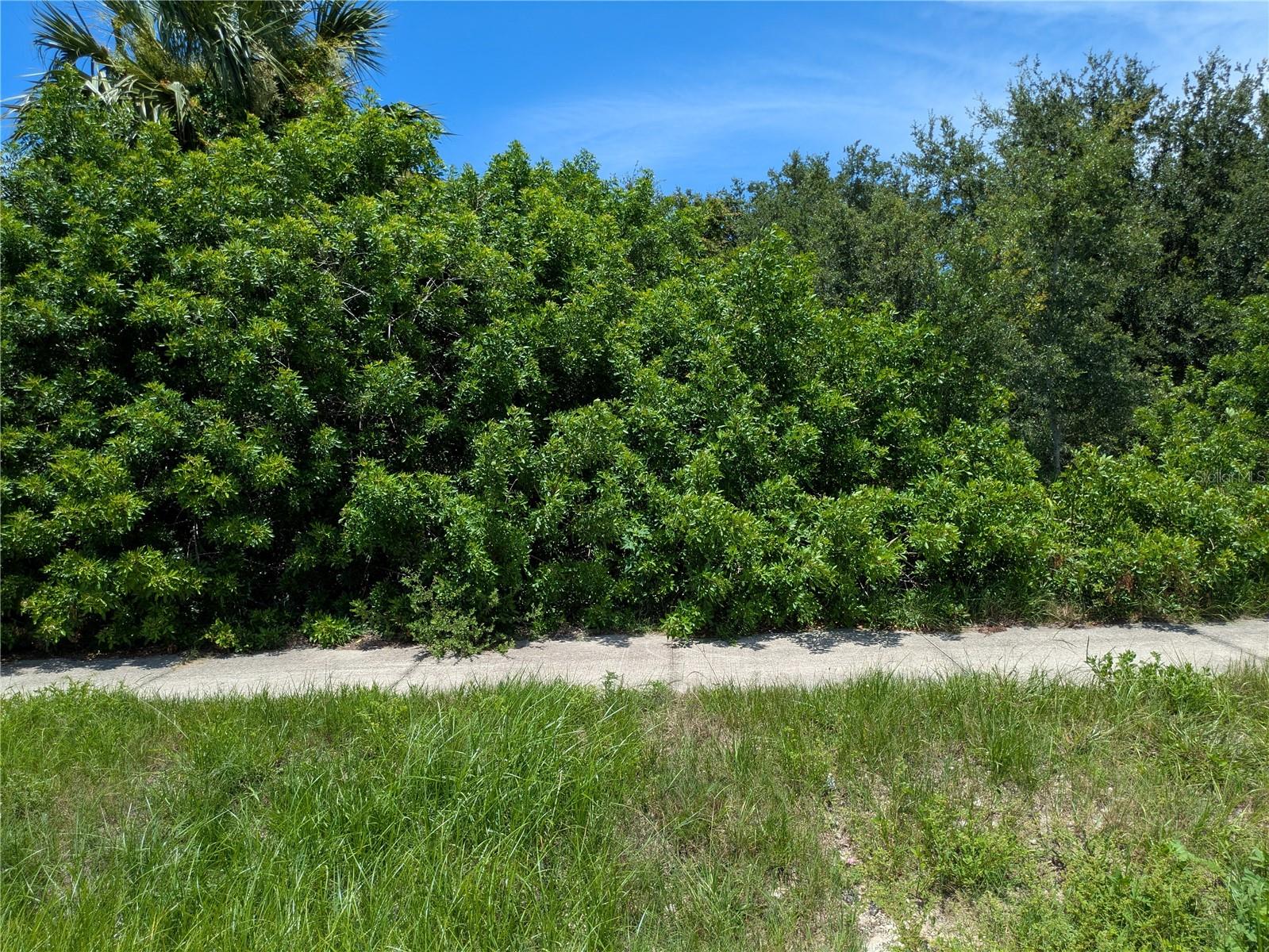 6041 COUNTY LINE ROAD